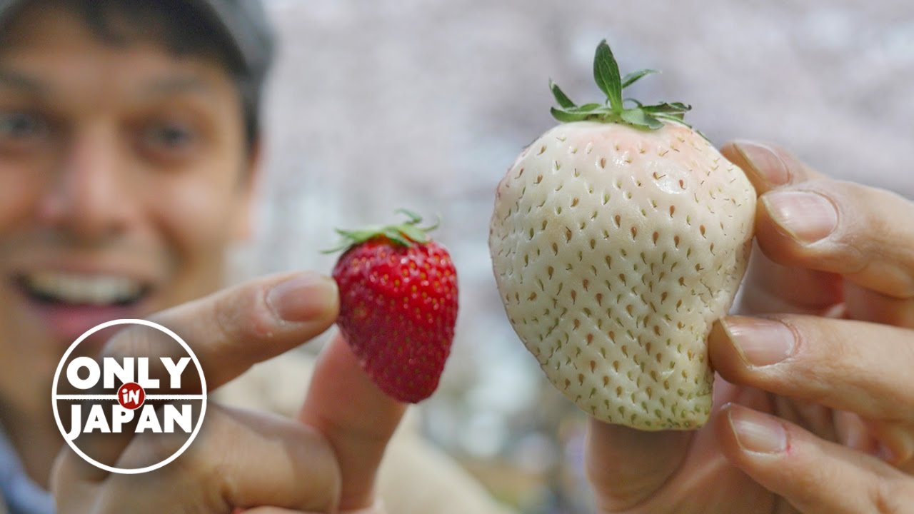 Luxury Food Items Japanese Strawberries Fiercefork